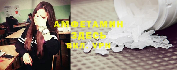 сатива Кукмор